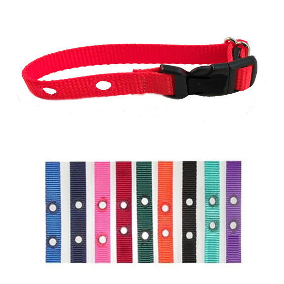 3/4" Nylon Dog Fence Collar Receiver Replacement Strap Innotek Sportdog USA