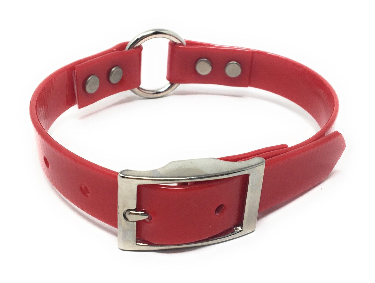 Sparky Pet Co 3/4" Heavy Duty Waterproof 18" Strap with "O" Ring