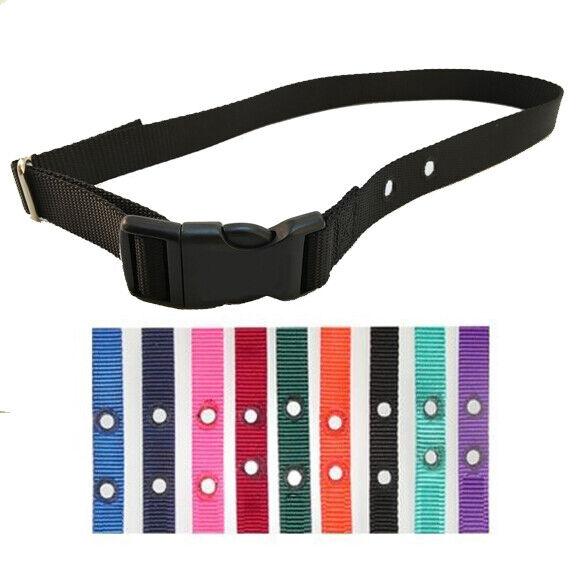 STAY AND PLAY Compatible 3/4 inch replacement collar strap- 2 Hole 1.25" Apart