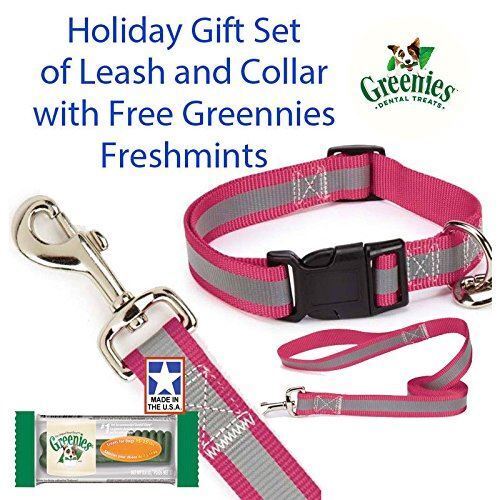 Guardian Gear Reflective Raspberry Dog 4FT. Leash/6-10 Collar Set With Free Gree