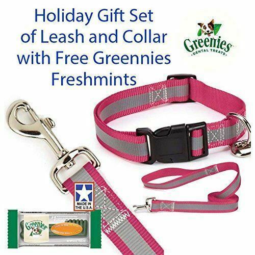 Guardian Gear Reflective Raspberry Dog 4FT. Leash & 14-20 Collar Set With Free G