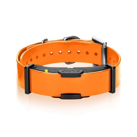 Dogtra ARC Additional Receiver Dog Collar - Orange