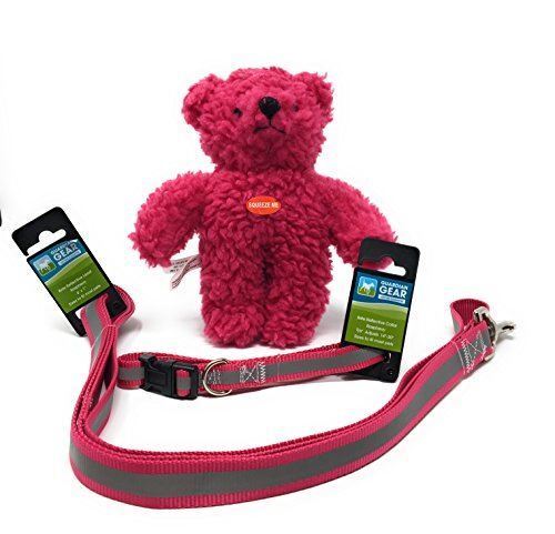 Guardian Gear Pink Reflective Dog Collar & Leash Set, w/FREE Zanies Teddy Bear T