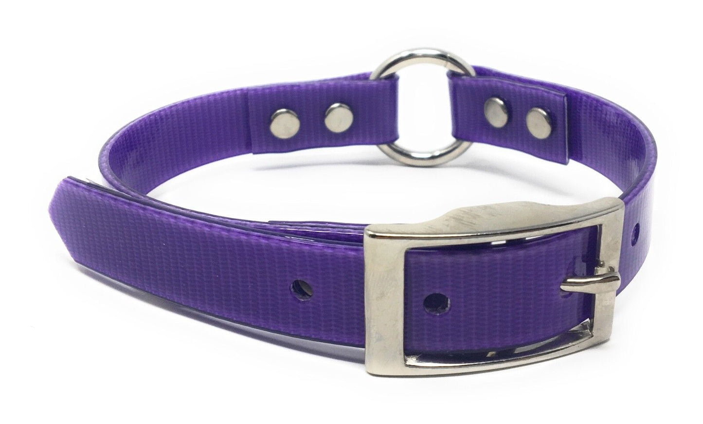 Sparky Pet Co 3/4" Heavy Duty Waterproof 18" Strap with "O" Ring