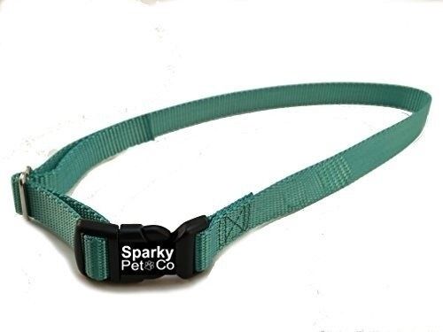 Sparky Pet Co  3/4" Solid Nylon Replacement Indoor/Outdoor Strap Stay+Play (Teal)