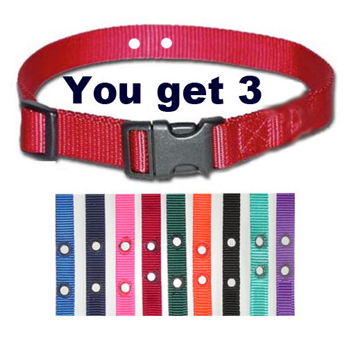 3- Inground Nylon Replacement Dog Collars 3/4" 2 hole 1.25"