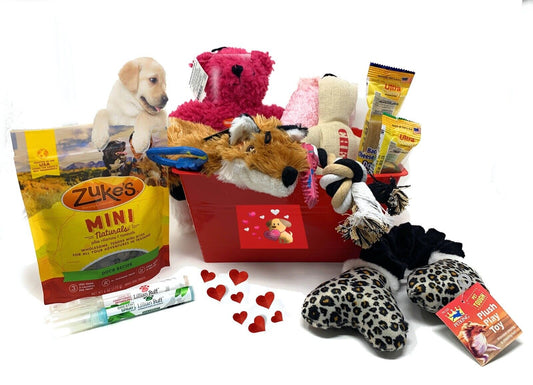 Happy Valentines to Your Best Friend with a Tail Wagging Valentines Basket- Dog