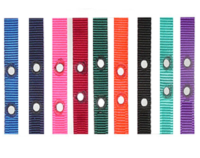 Pet Stop 1" Replacement Universal Nylon 2 Hole 1. 25"  Strap  NEW All Colors PS1