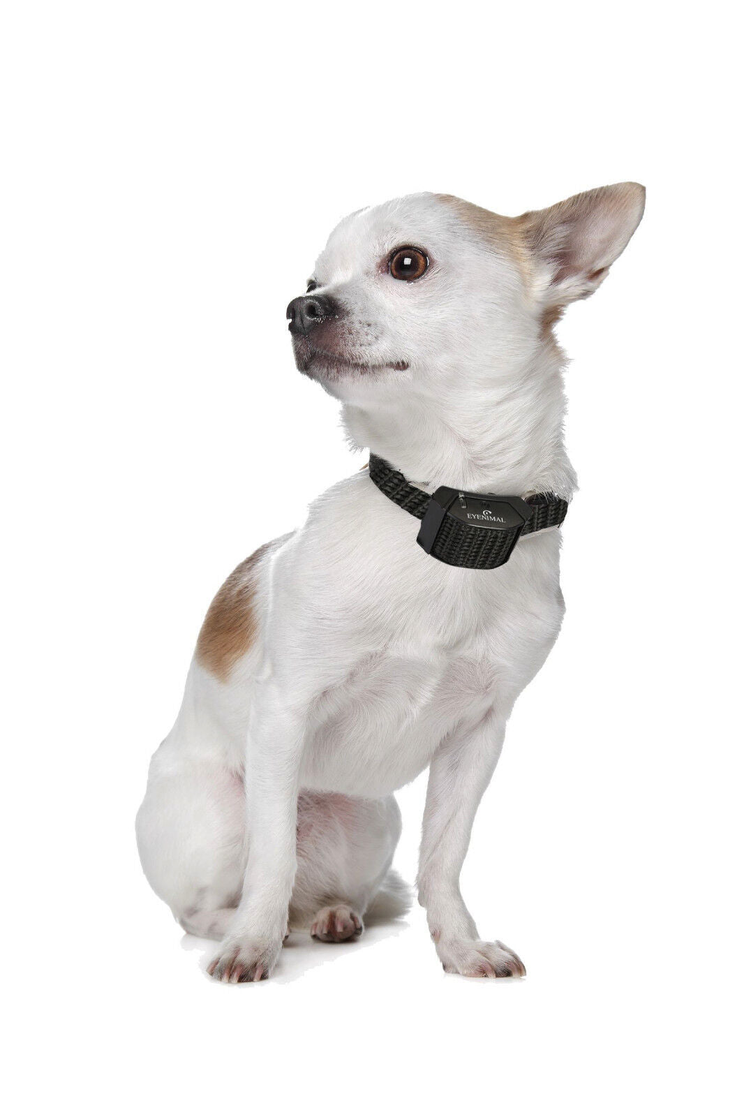 Eyenimal RECHARGEABLE STATIC Miniature DOG Bark Control Collar NanoBark 9 LBS