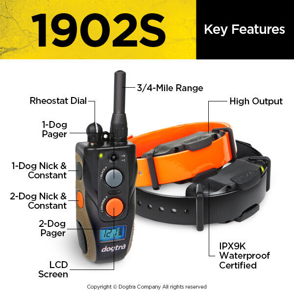 Dogtra 1902S Enhanced Dual 2 Dog Training System with Nick/Constant Stimulation