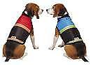 KONG Safety Dog Outdoor Vest With Reflective Stripe For Night Visibility