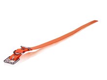 Dogtra Strap 3/4"X28" (Orange)