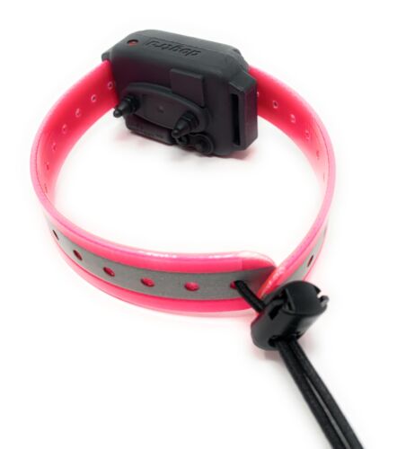 Small Dog GPS Replacement Collar Bungee Multi Hole Flex, 1" Wide, Toggle Closure