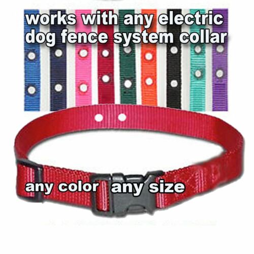 Underground Electric Dog Fence Replacement Collar Nylon 2 Hole 1.25 NEW