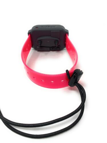 Small Dog GPS Replacement Collar Bungee Multi Hole Flex, 1" Wide, Toggle Closure