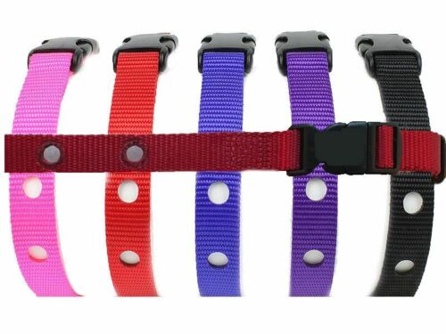 Perimeter Compatible Dog Fence Collar Receiver Nylon Strap 3/4 In for PTPFS-003