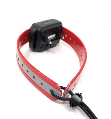 Small Dog GPS Replacement Collar Bungee Multi Hole Flex, 1" Wide, Toggle Closure