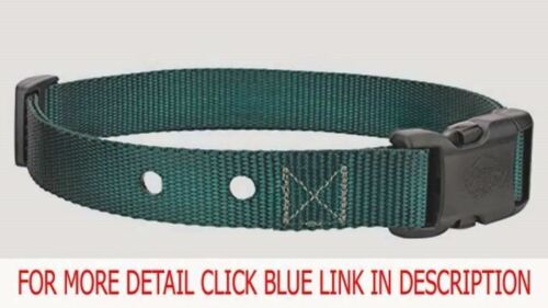 Replacement strap 3/4 inch for all electric dog system 2 Hole 1.25 - 11 Colors To Choose From