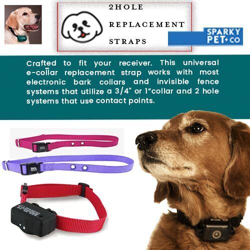 Sparky Pet Co 1" Nylon 2 Hole 1.25 Replacement Strap Wireless and In Ground Systems - Neon Pink