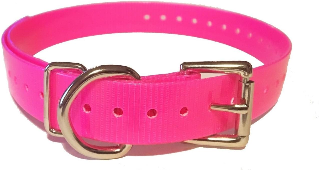 1 INCH Collar, Sq Buckle, High Flex Tri Tronics Compatible BY Sparky Pet Co - Neon Pink