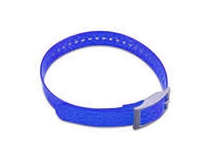 The Animazing Replacement Collar Strap - Blue -