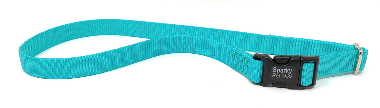 Sparky Pet Co 3/4" Solid Nylon Receiver Replacement Strap for Stubborn Dogs - Teal