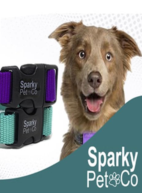 Sparky Pet Co 3/4" Black Nylon Double Buckle