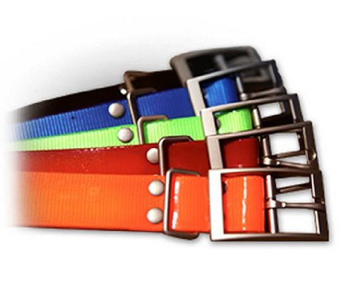 The Animazing Replacement Collar Strap - Orange -