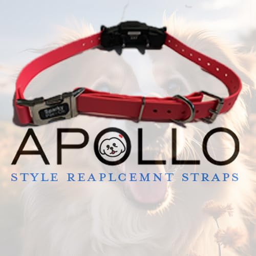 1" Apollo Biothane E Collar Receiver Double Buckle Replacement Strap Black