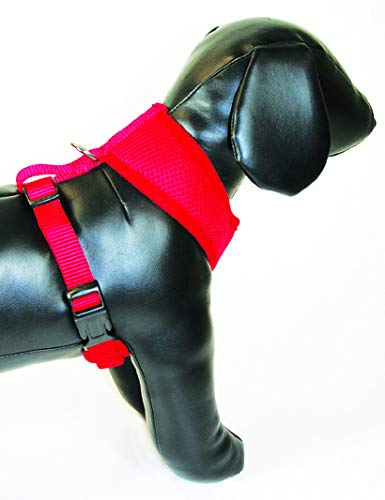 Breezy Mesh Harness Plus Leash Dog Gift Set- 5 Dog Sizes (Extra- Large, Red)