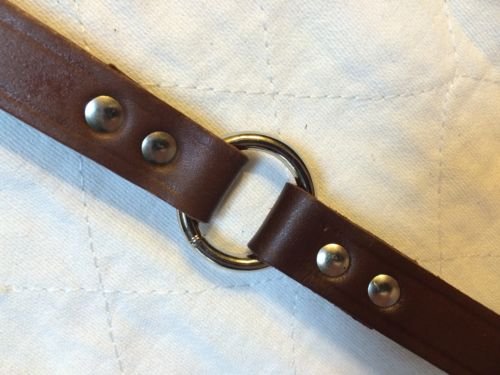 Sparky Pet Co 3/4" W x 16" Long Supple, Durable Leather Dog Collar with O Ring,