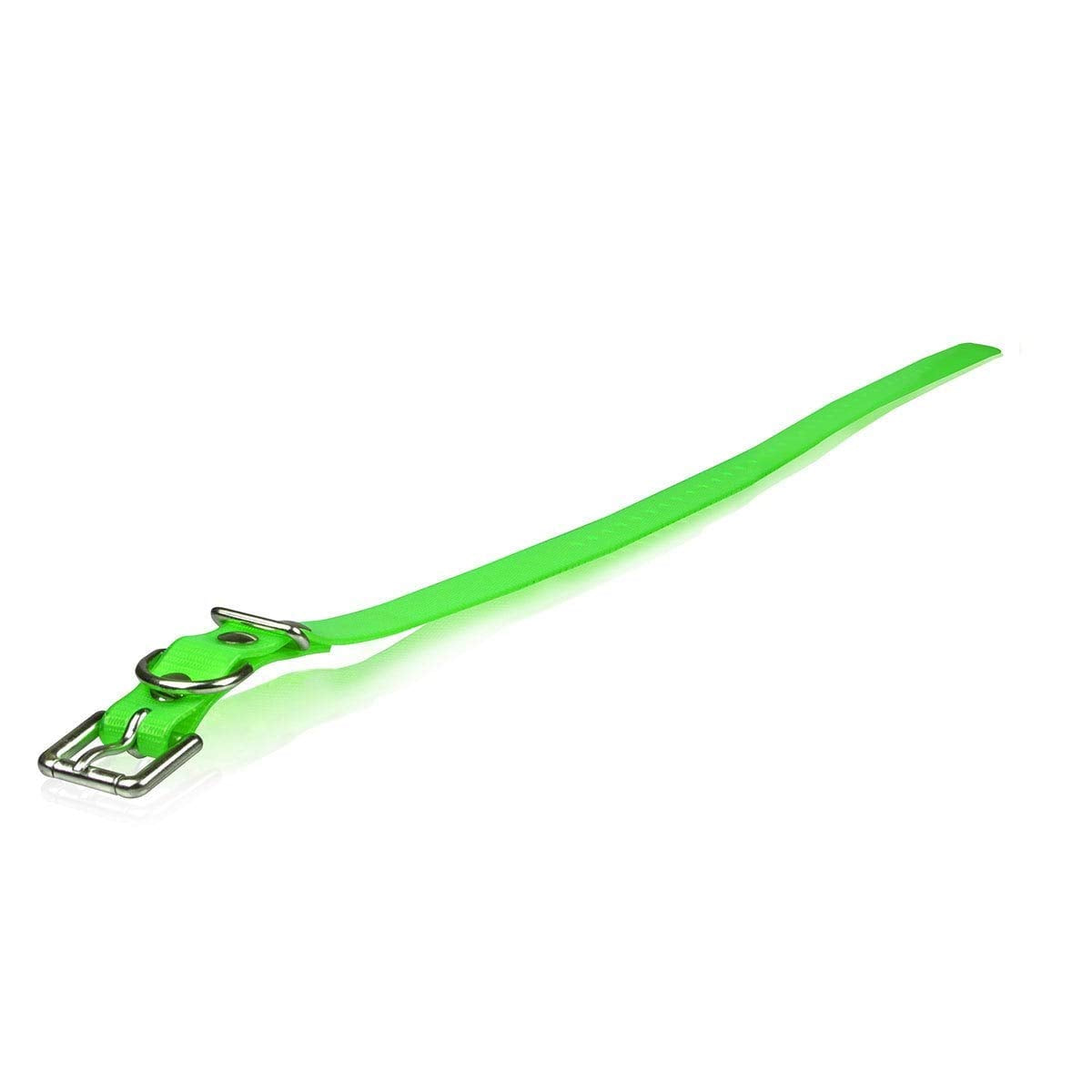 Dog Strap Size: 1" W x 30" D, Color: Roller Buckle