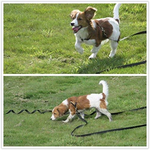 Sparky Pet Co Universal Nylon 3/4" 3-Consecutive Hole Dog Strap For Remote