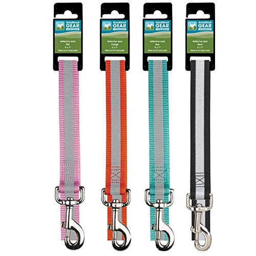 Guardian Gear Reflective Teal 6 Ft Leash x 1" Wide, Reflective Teal (Bluebird)