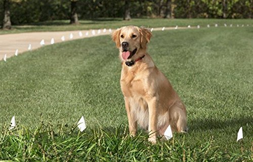 Sparky Pet Co Heavy Duty Dog Fence Replacement for Invisible Fence Systems