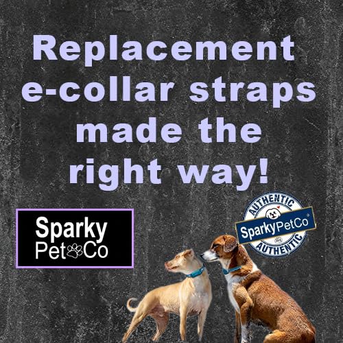 Sparky Pet Co - 3/4" Apollo ECollar Replacement Strap - Dog Collar - Waterproof Orange