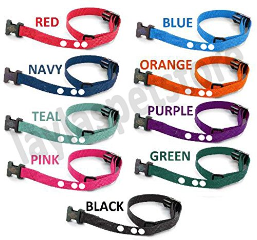 Sparky Pet Co �� 2 Hole 1.25� Replacement Collar Strap and Compatible with