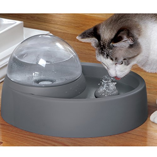 Eyenimal NGFON005 Pet Fountain