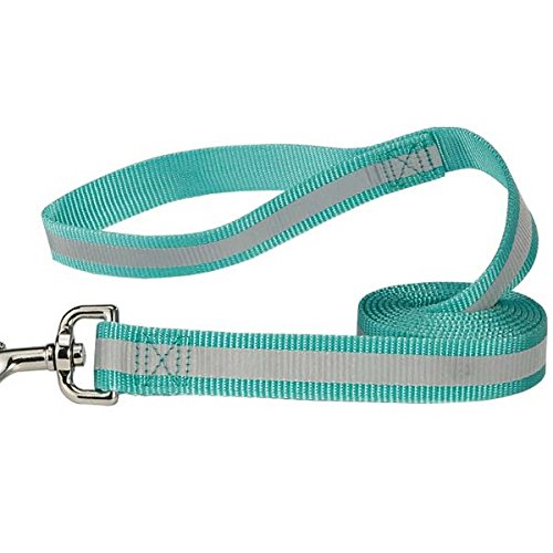 Guardian Gear Reflective Teal 6 Ft Leash x 1" Wide, Reflective Teal (Bluebird)