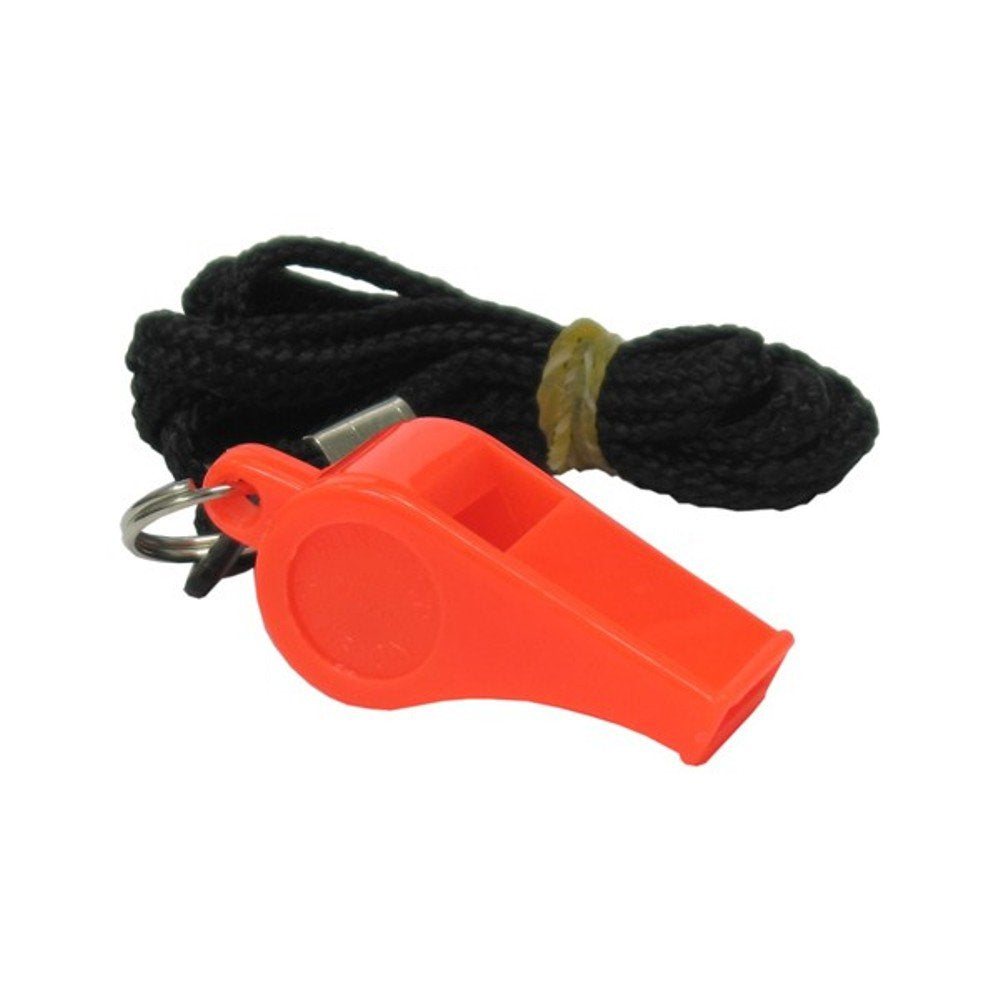 DT Systems Basic Training Whistle for Pets, Orange