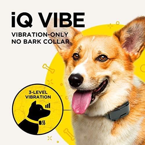 Dogtra iQ Vibe Vibration Only No Bark Collar Rechargeable Waterproof Compact