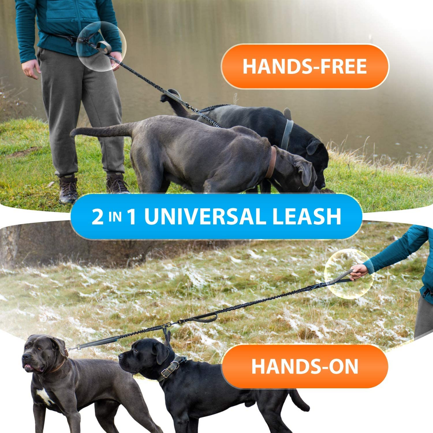 Hands Free Dog Leash For Running, Walking, Retractable Bungee Dog Leash