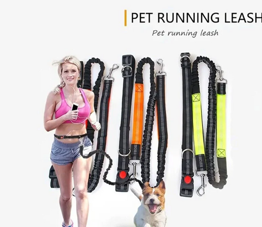 Hands Free Dog Leash For Running, Walking, Retractable Bungee Dog Leash