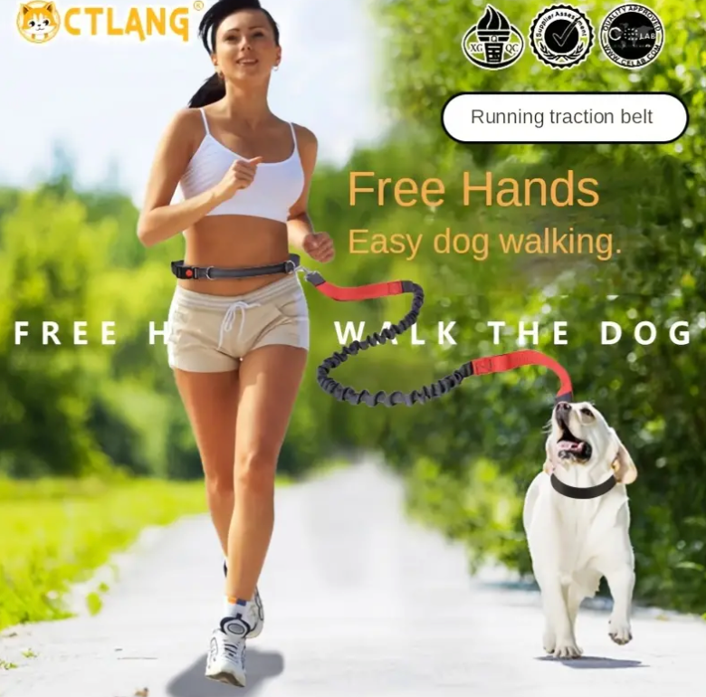 Hands Free Dog Leash For Running, Walking, Retractable Bungee Dog Leash