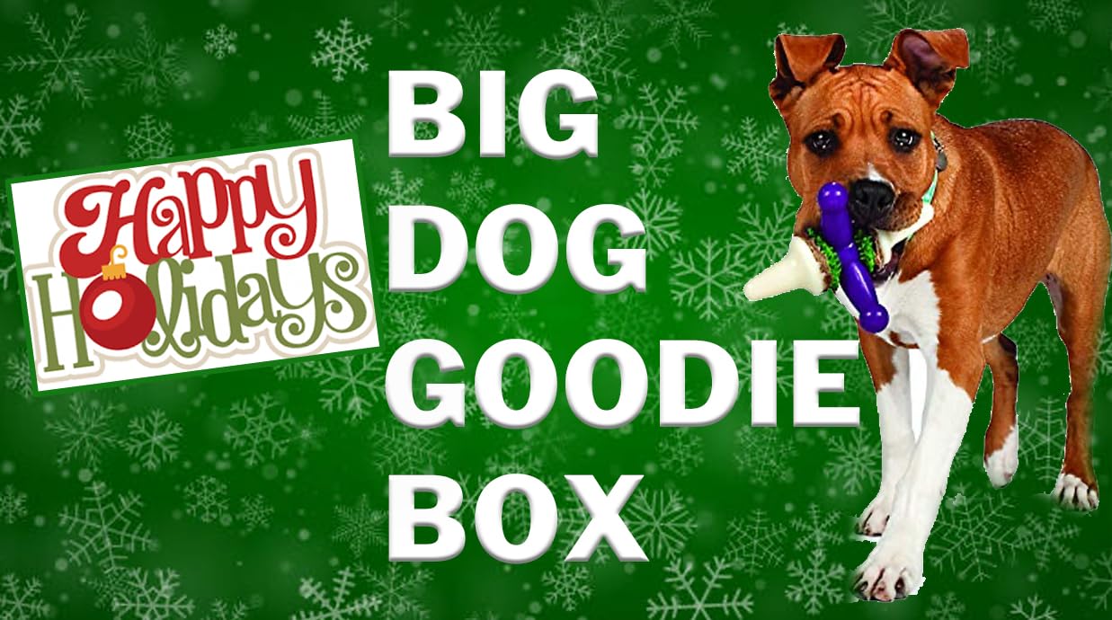 Christmas or Hanukkah Large Dog Spa Gift Set, 5 Pieces: 32 oz Big Dog Water/Food Bowl, Grooming Gloves, 2-10" Natural Rawhide Retreiver Dog Chew Bones and 3 Surprises for Your Dog!