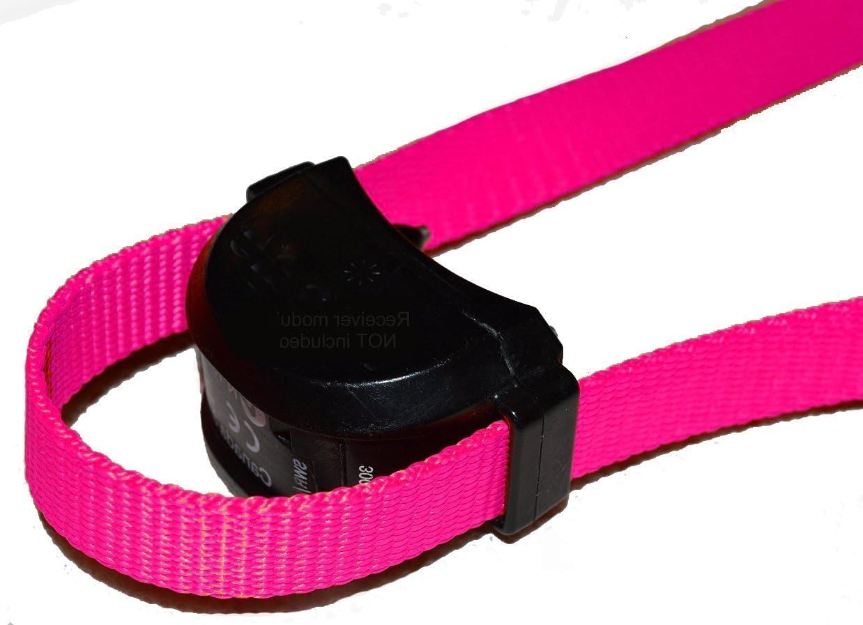 ECollar Replacement Strap - Easy Release Black Plastic Buckle Dog Collar - Solid Nylon - Adjustable � Compatible with No Hole Bark, Wireless Fence,In Ground Fence Collars - 1" Wide (Red)