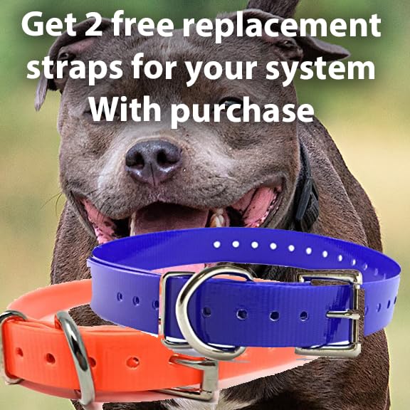 Dogtra Train & Beep 2-Dog with 4 Free Additional Straps!