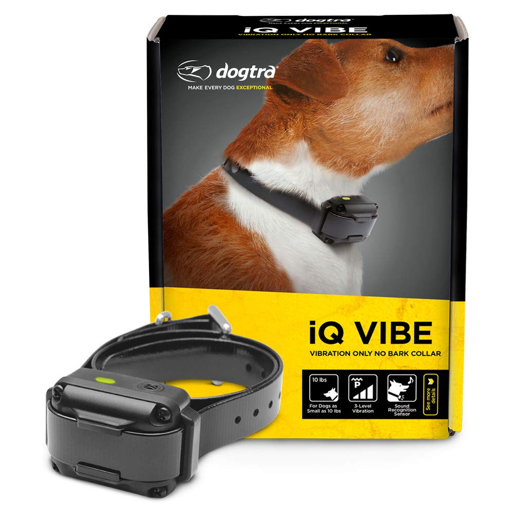 Dogtra iQ Vibe Vibration Only No Bark Collar Rechargeable Waterproof Compact