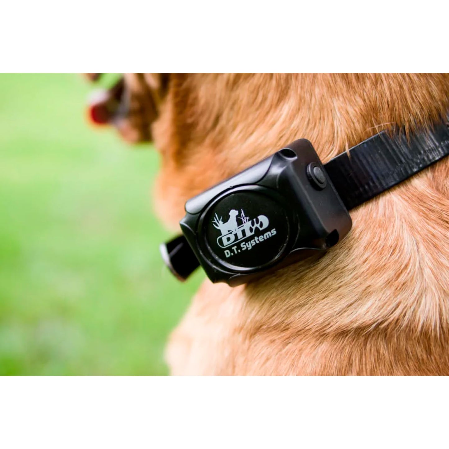 DT SYSTEMS H2O1820 Plus E-Collar, Waterproof Rechargeable Expandable Remote Dog