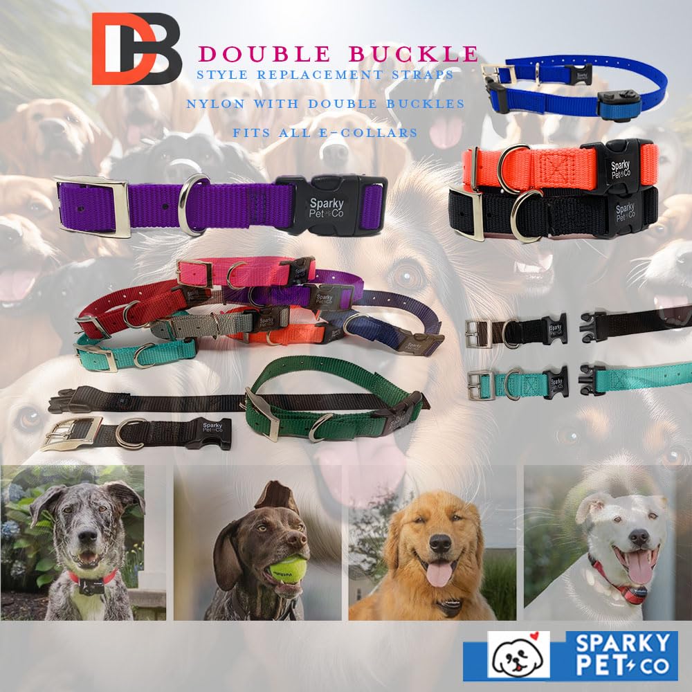 Sparky Pet Co - ECollar Replacement Strap - Easy Release Double Buckle Dog Collar - Rugged Nylon - Adjustable - D Ring - Quick Release Metal Clasp - for Invisible Fence Systems - 1" x 28" - Green